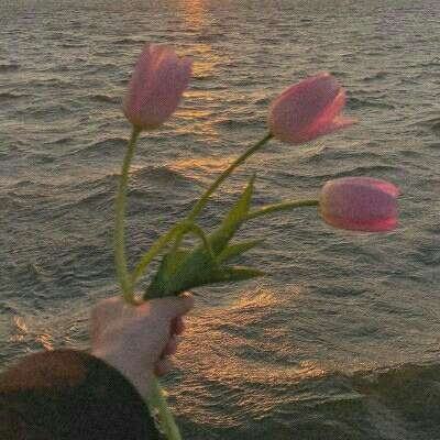 pg电子下载网址